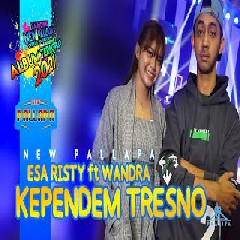 Download Lagu Wandra Feat Esa Risty - New Pallapa Kependem Tresno   Mp3