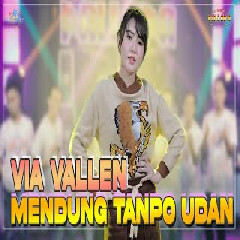 Download Lagu Via Vallen - Mendung Tanpo Udan -New Pallapa  Mp3