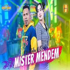 Download Lagu Yeni Inka ft Brodin -  New Pallapa - Mister Mendem  Mp3