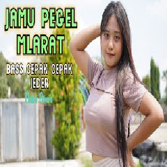 Download Lagu DJ ACAN RIMEX - DJ JAMU PEGEL MLARAT BASS CEPAK CEPAK JEDER Mp3