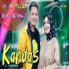 Download Lagu Woro Widowati Feat Alie Melon - kandas | New Pallapa Mp3