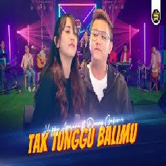 Download Lagu HAPPY ASMARA FT DENNY CAKNAN - TAK TUNGGU BALIMU Mp3