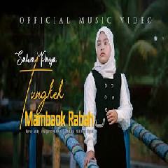 Download Lagu Salwa Pasya - Tungkek Mambaok Rabah Mp3
