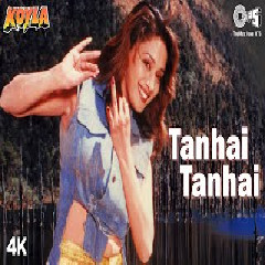 Download Lagu Shahrukh Khan  Udit Narayan  Alka Yagnik  Koyla - Tanhai Tanhai Madhuri Dixit Mp3