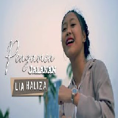 Download Lagu Lia haliza - Pengamen jalanan Mp3