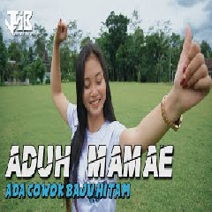 Download Lagu DJ ACAN RIMEX - DJ ADUH MAMAE SETENGAH KENDANG KOPLO  Mp3